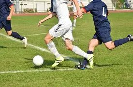 网坛佳人布,沙尔携手男,主播直播互,金贝娱乐,金贝娱乐官网,金贝娱乐JINBEI官网