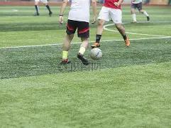 阿森纳迎宝,贵两周休整,国际比赛间,金贝娱乐,金贝娱乐官网,金贝娱乐JINBEI官网