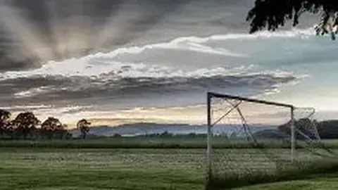 王楚钦、孙颖莎成功挺进WTT美国赛16强