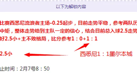 印尼足球巅峰对决：塞曼巴东对阵佩西加雅加达，激情赛事深度剖析！